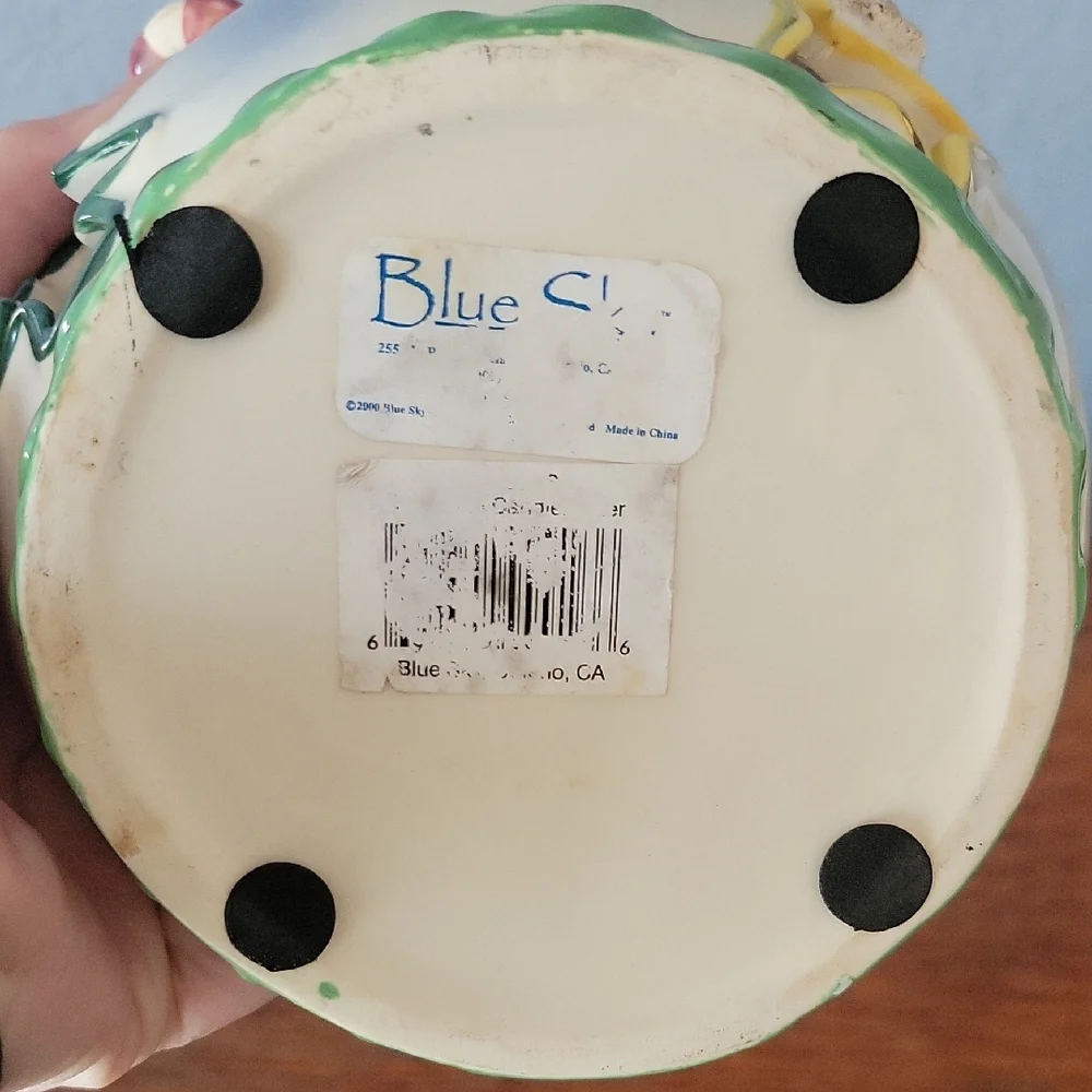 Blue Sky Corp. 7